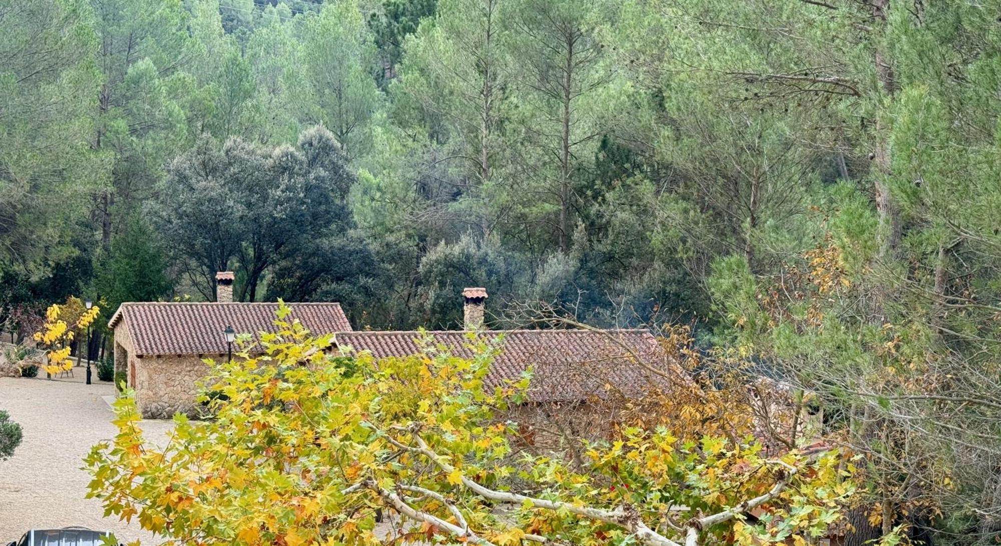 Batan Rio Tus Casa de camp