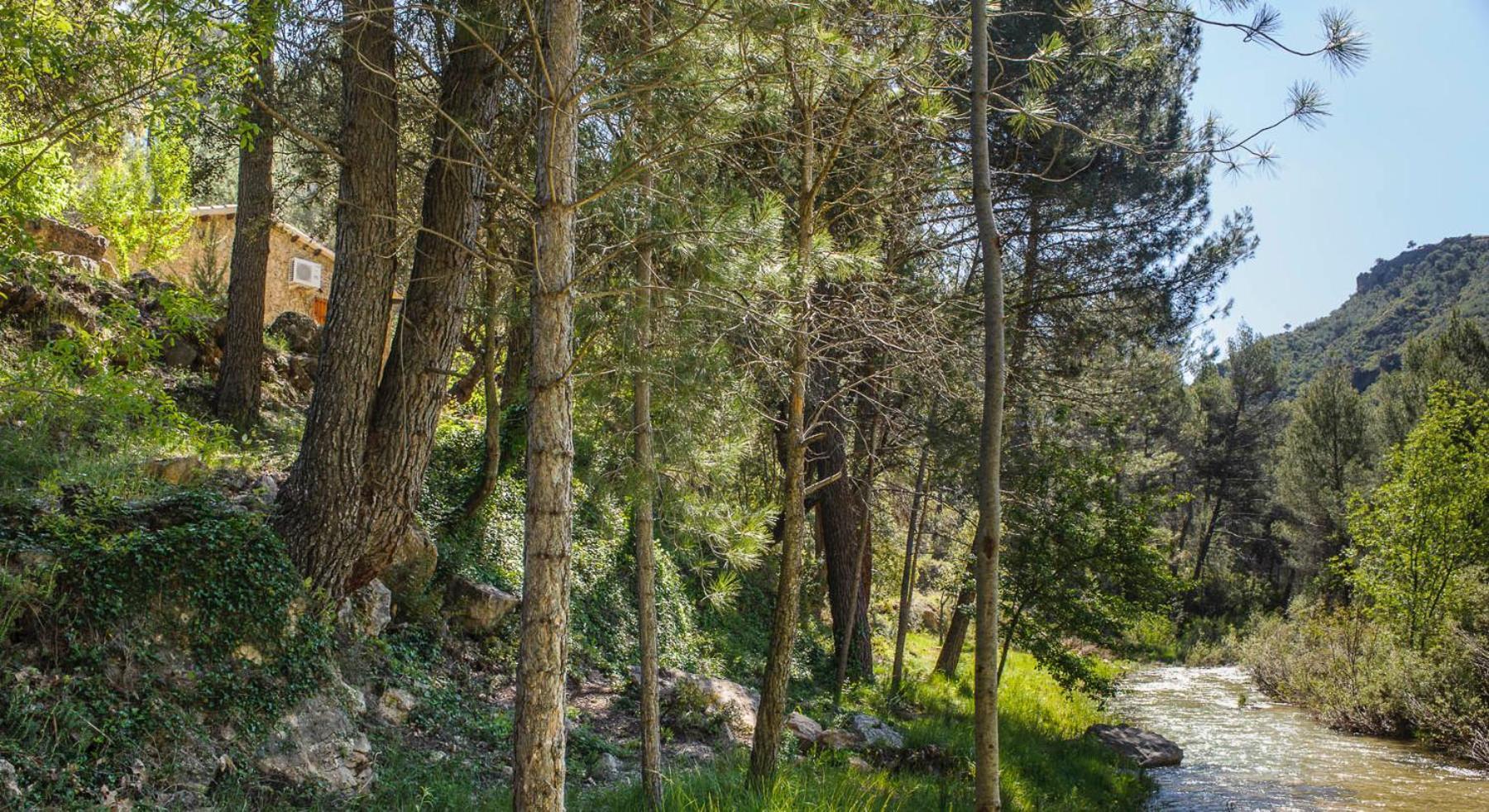 Batan Rio Tus Casa de camp Yeste