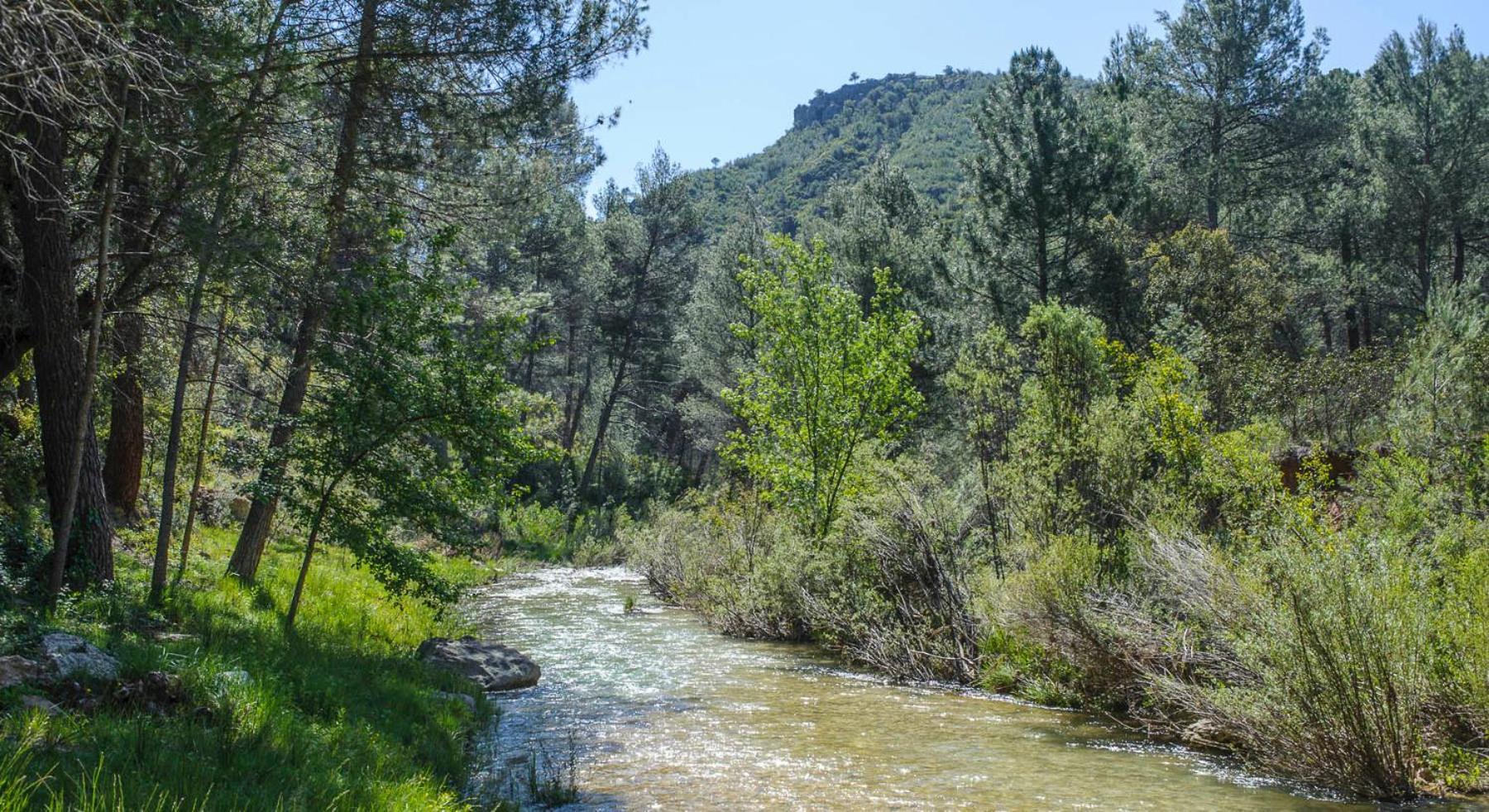 Batan Rio Tus Casa de camp Yeste