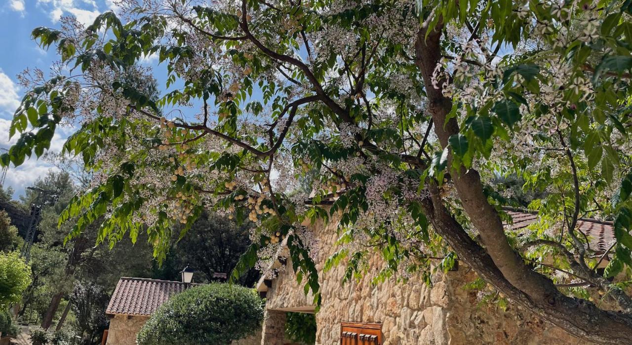 Casa de camp Batan Rio Tus Yeste